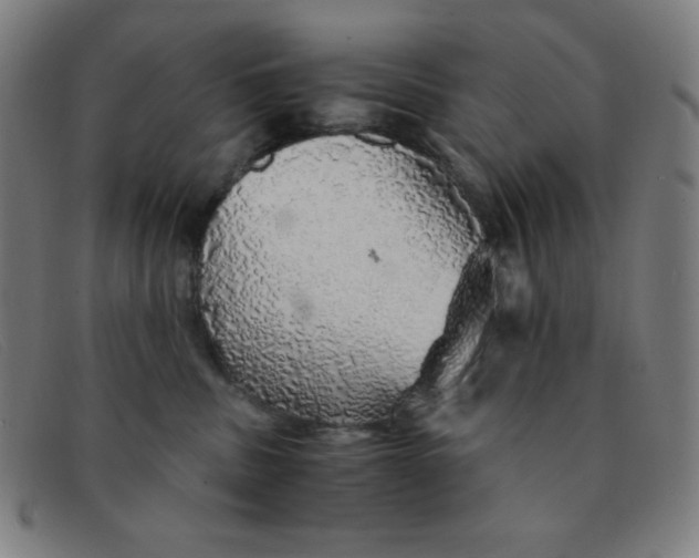 X0000091340379200708311501