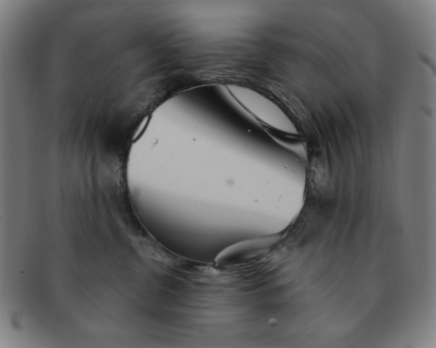 X0000091340380200708311501