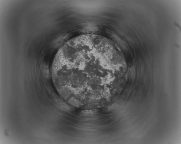 X0000091340381200708311501