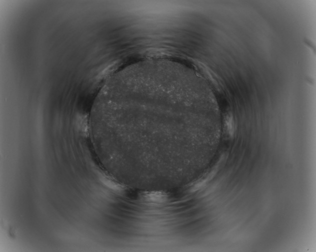 X0000091340383200708311501