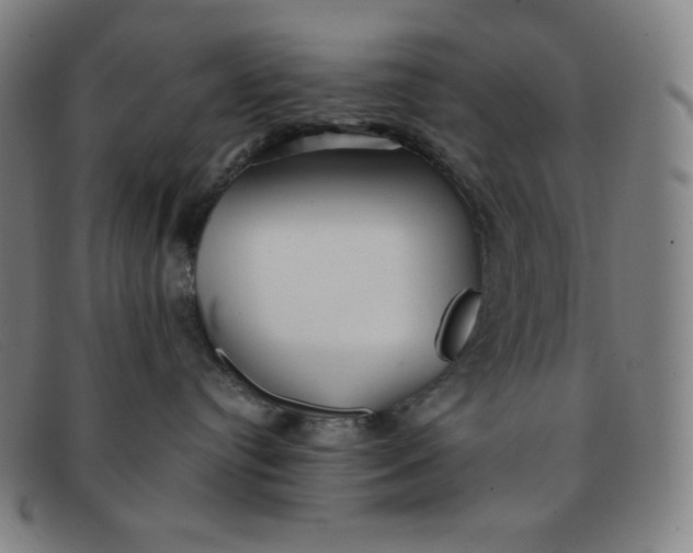 X0000091340384200708311501