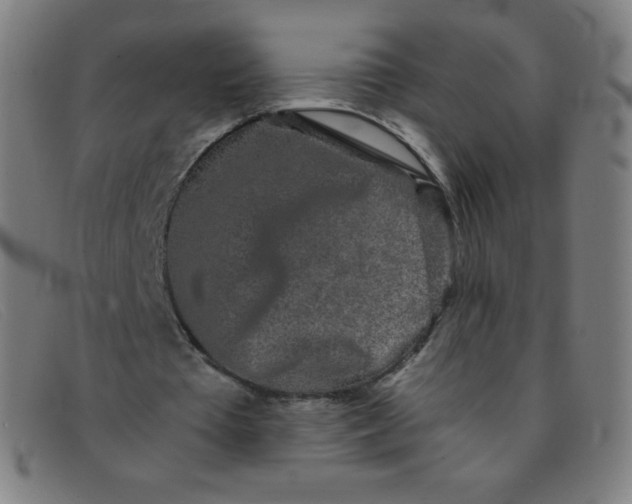 X0000091340385200708311500