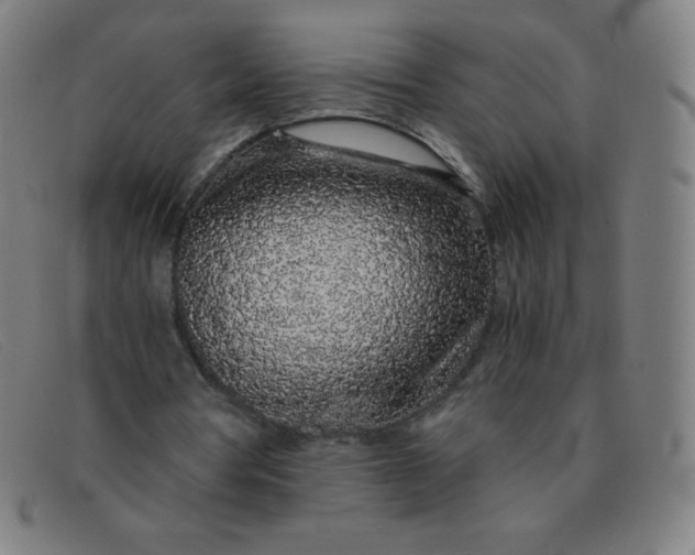 X0000091340386200708311500