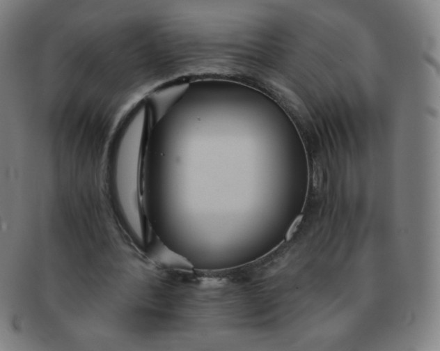 X0000091340388200708311500