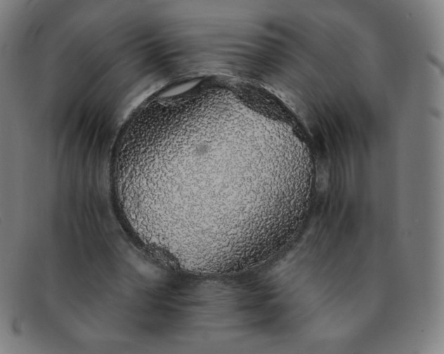 X0000091340390200708311500