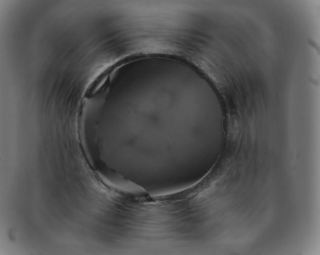 X0000091340391200708311500