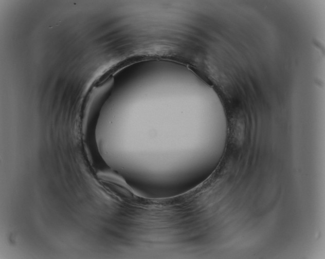 X0000091340392200708311500