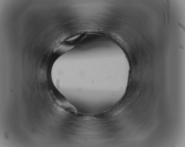 X0000091340393200708311500