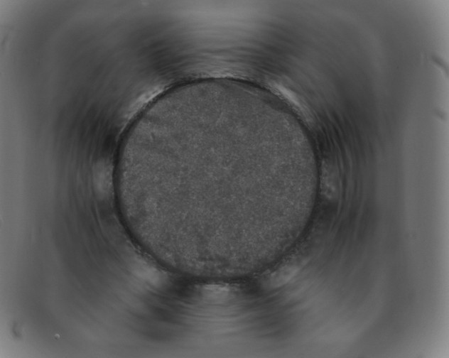 X0000091340394200708311500