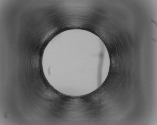 X0000091340396200708311500