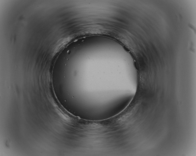 X0000091340397200708311500