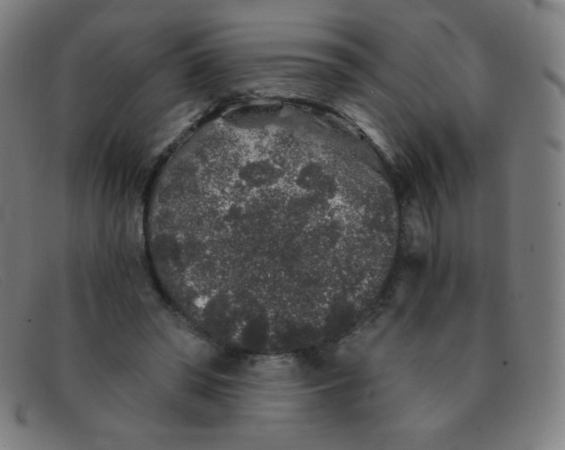 X0000091340398200708311500