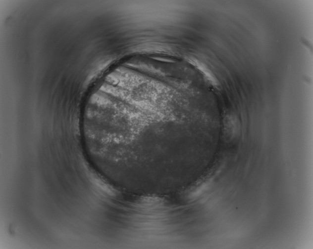 X0000091340399200708311500