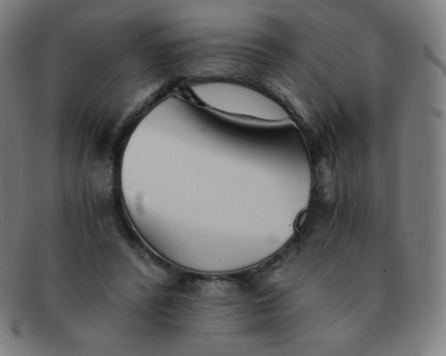 X0000091340400200708311500