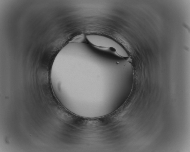 X0000091340401200708311500