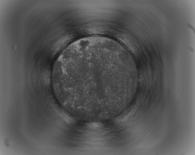 X0000091340402200708311500