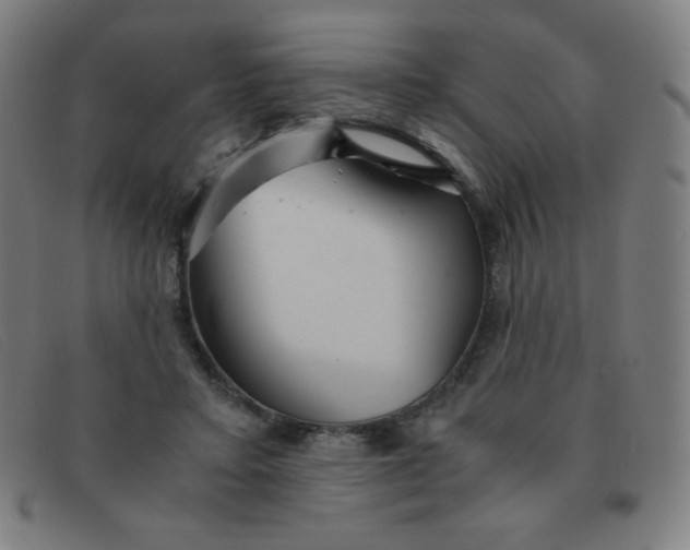 X0000091340403200708311500