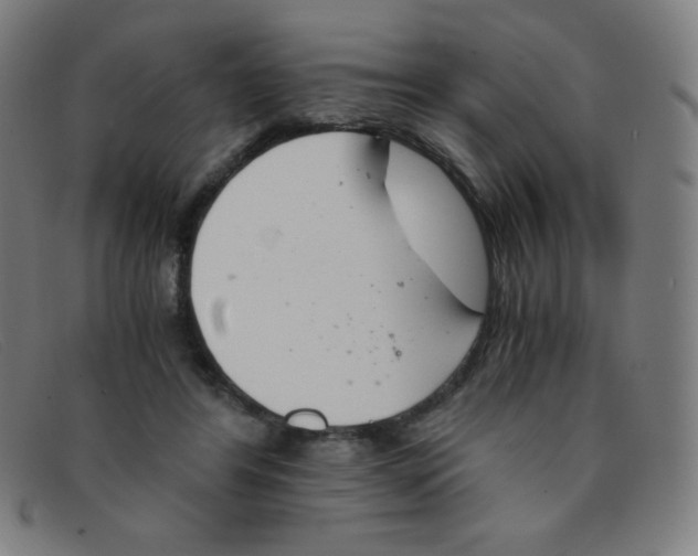 X0000091340404200708311500