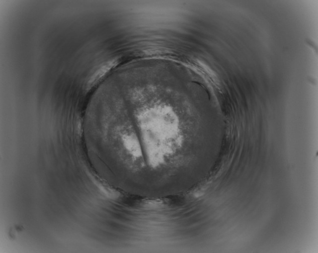 X0000091340405200708311500