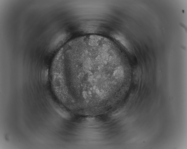 X0000091340406200708311500