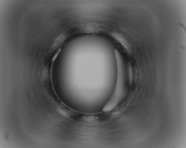 X0000091340407200708311500