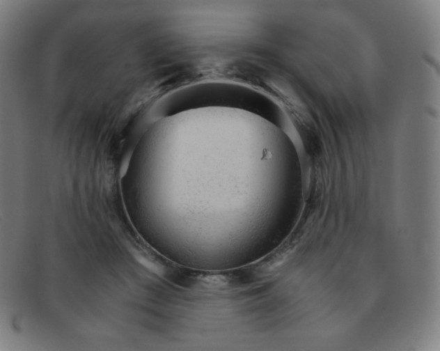 X0000091340409200708311500