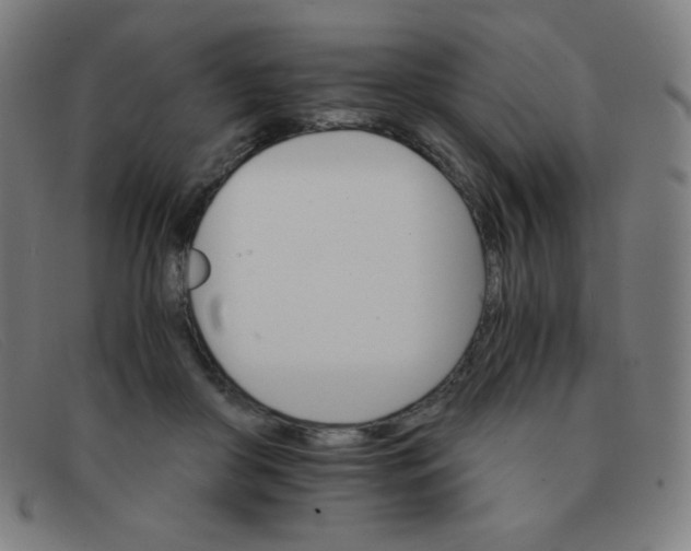 X0000091340410200708311500