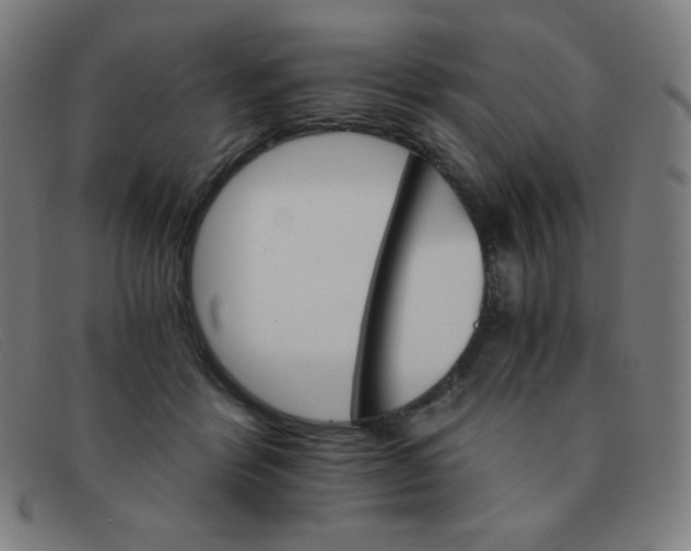 X0000091340412200708311500