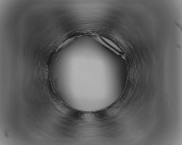 X0000091340413200708311500