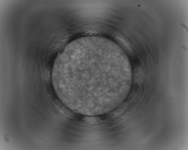 X0000091340417200708311500