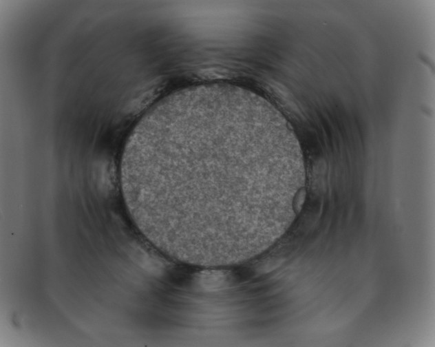 X0000091340418200708311500