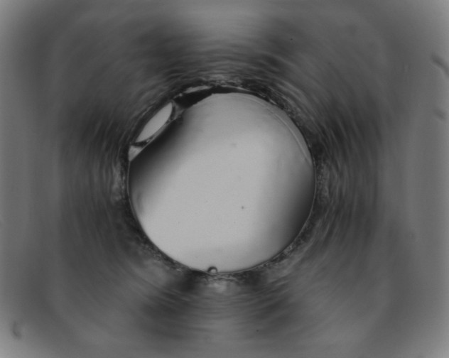 X0000091340420200708311500