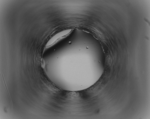 X0000091340421200708311500