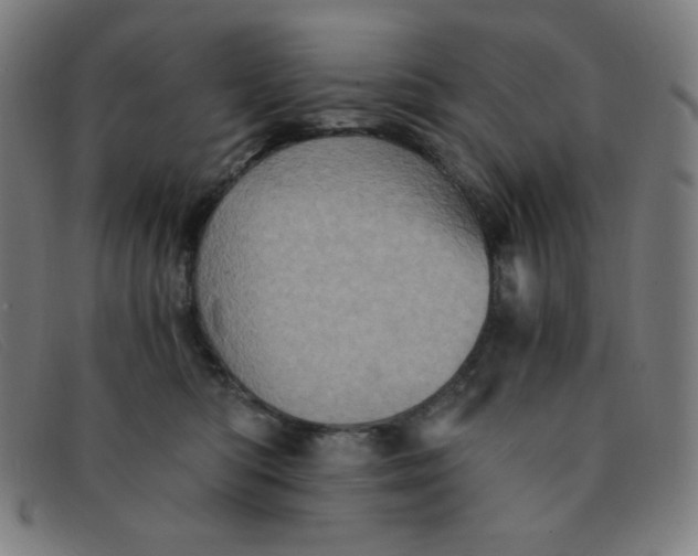 X0000091340422200708311500