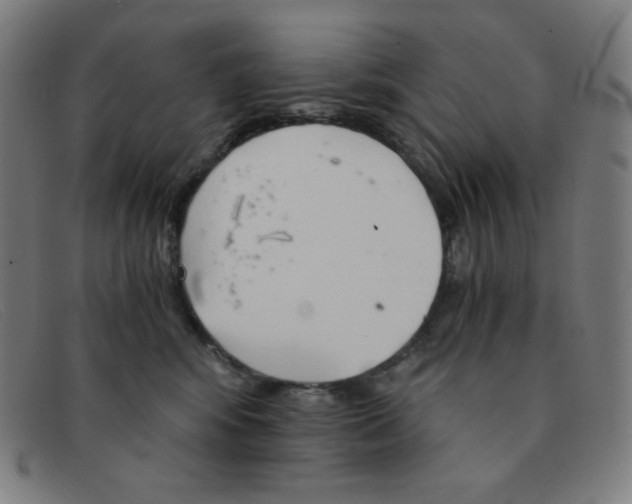 X0000091340424200708311500