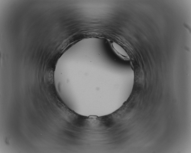 X0000091340425200708311500