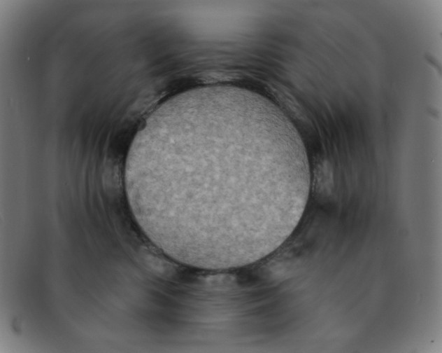 X0000091340426200708311500