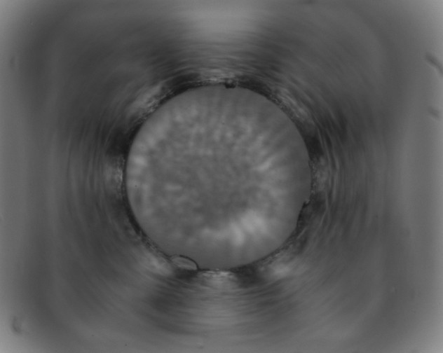 X0000091340427200708311500