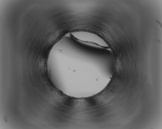 X0000091340428200708311500