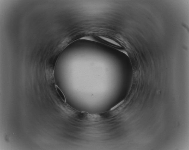 X0000091340429200708311500