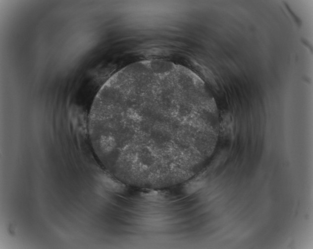 X0000091340430200708311500