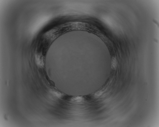 X0000091340431200708311500