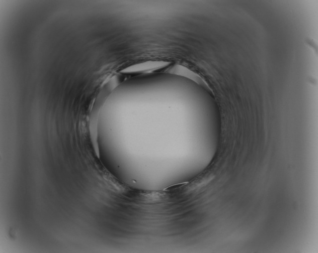 X0000091340432200708311500