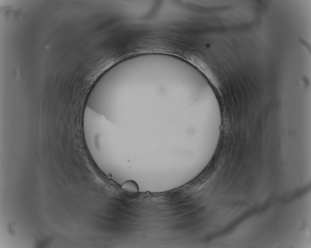 X0000091340433200708311459