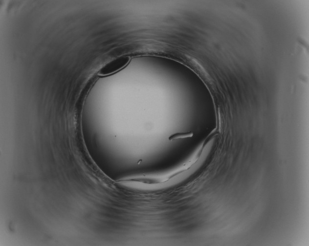 X0000091340435200708311459