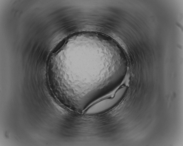 X0000091340437200708311459