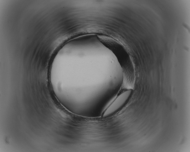 X0000091340438200708311459