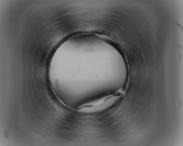 X0000091340440200708311459