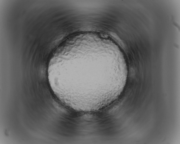 X0000091340441200708311459