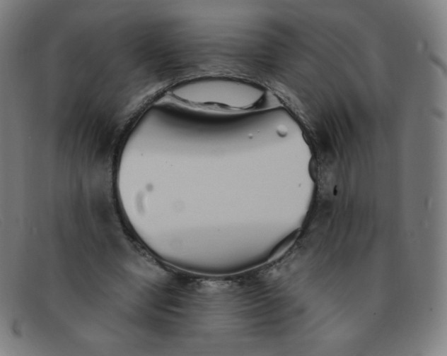 X0000091340442200708311459